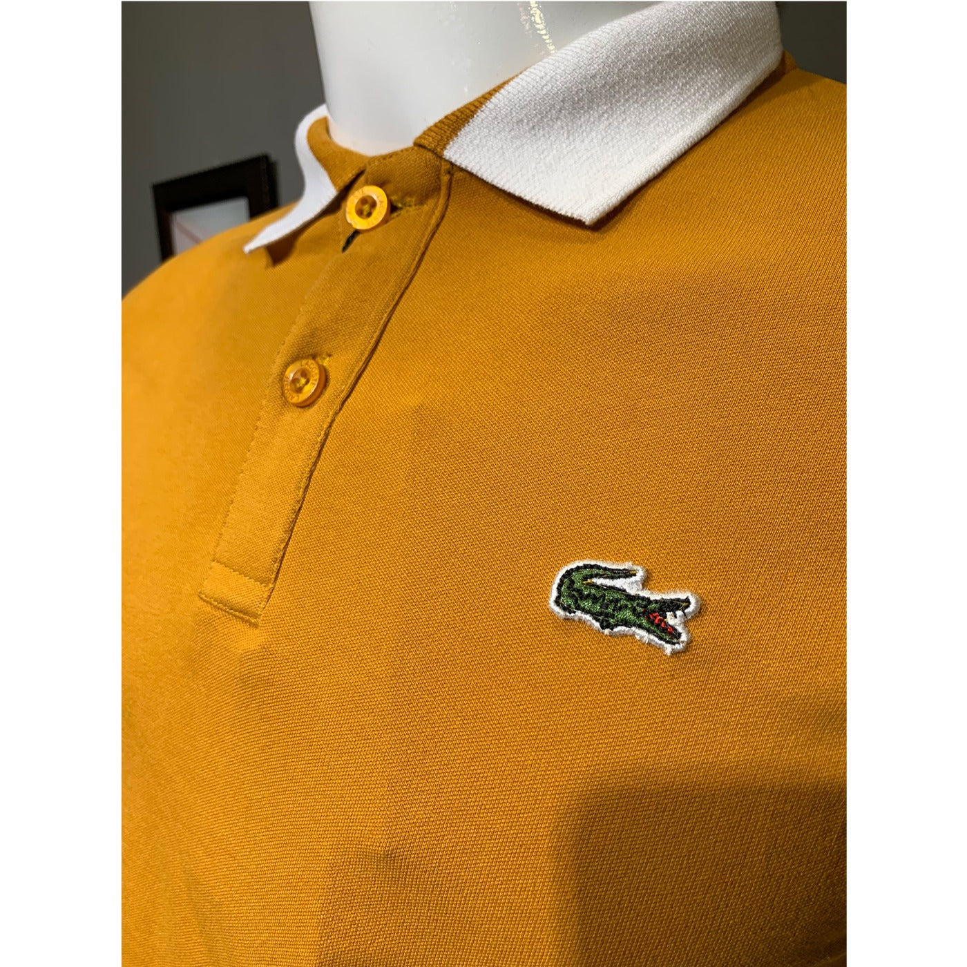 Lcste Raglan Sleeves Mustard Polo | Montivo Pakistan