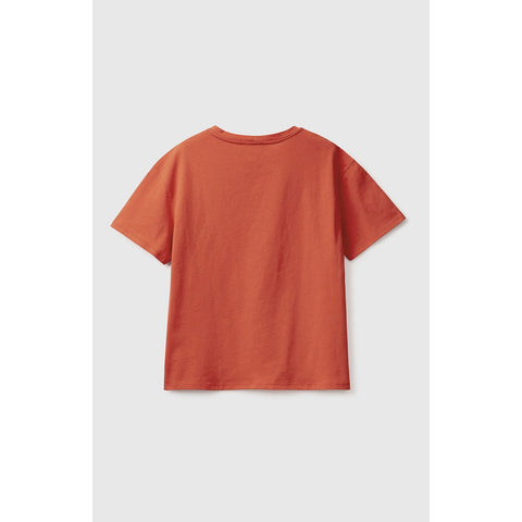 Rustic Orange Basic Tshirt | Montivo Pakistan