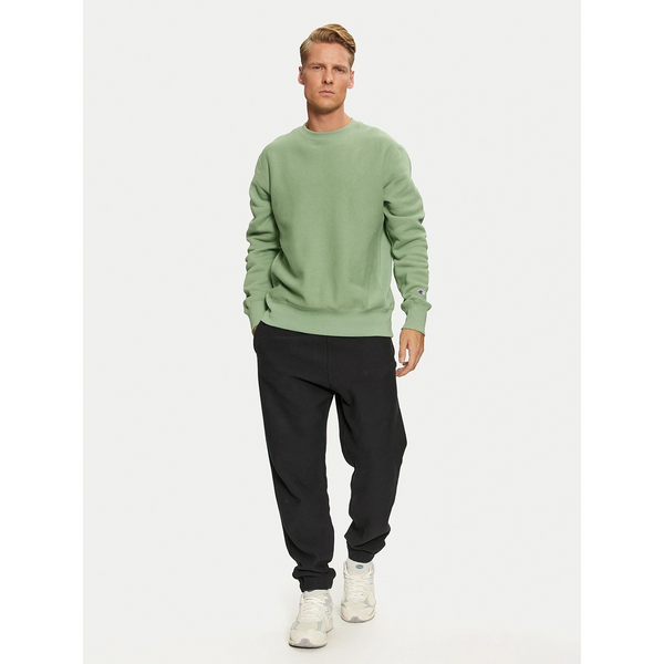 Light Green Raglan Sleeves Oversized Sweatshirt | Montivo Pakistan