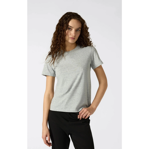 Grey CHMP Slim Fit Tshirt | Montivo Pakistan