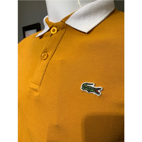 Lcste Raglan Sleeves Mustard Polo | Montivo Pakistan